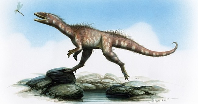 Graphic of the unnamed dinosaur discovery, via National Museum Cardiff