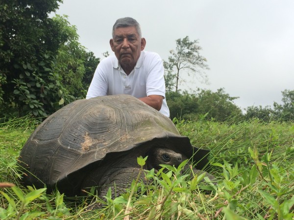 New tortoise species