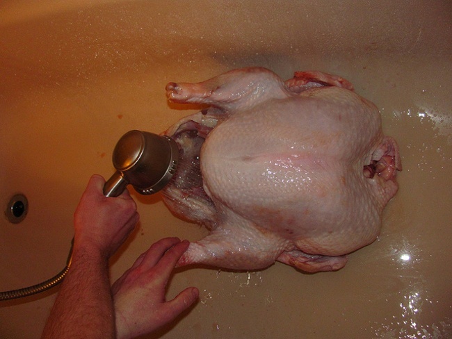 How to cook a turkey: turkey in sink