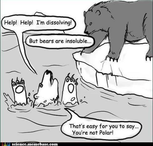 Polar bear science puns