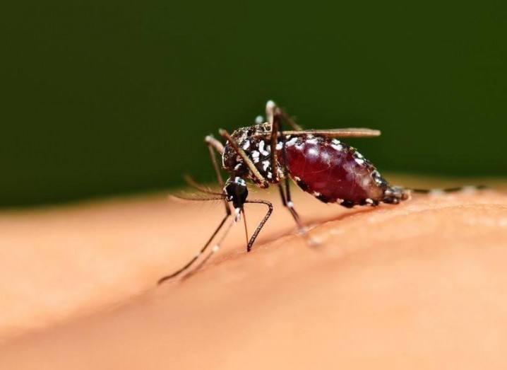 What is the Zika virus