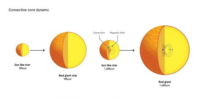 Stellar evolution graph