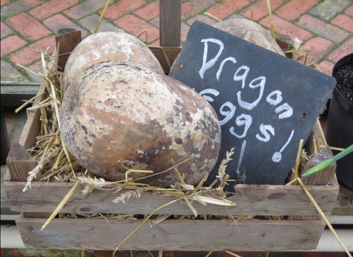 'baby dragons' eggs
