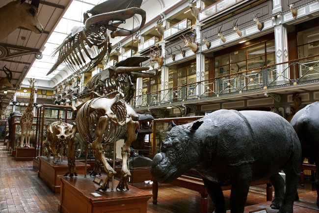 Natural History Museum via Neil Turner on Flickr Tour of Dublin