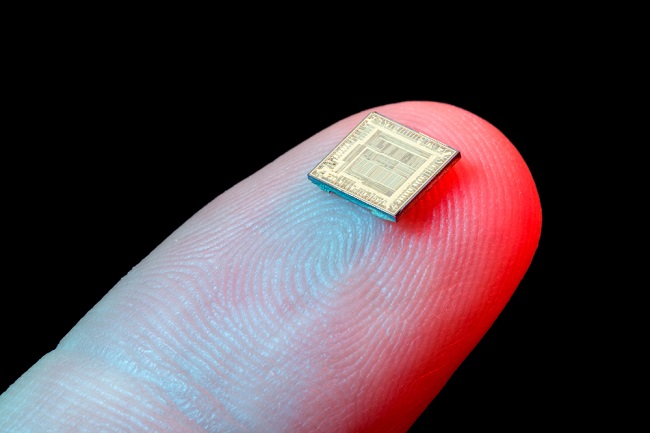 Silicon chip