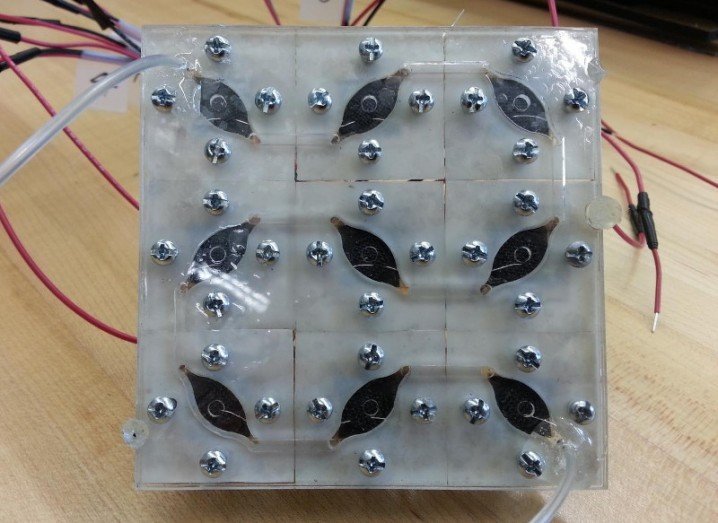 These are nine bio-solar cells connected into a bio-solar panel, via Seokheun Choi
