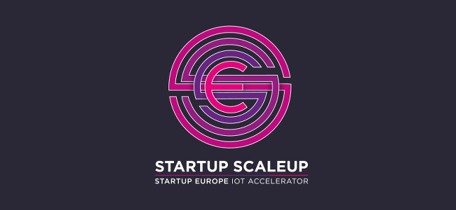 Startup scaleup