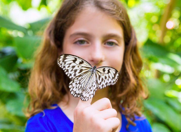 butterfly_science_discovery_shutterstock
