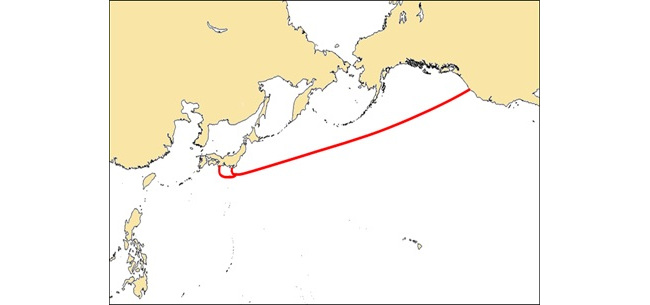 Basic route of the cable, via NEC