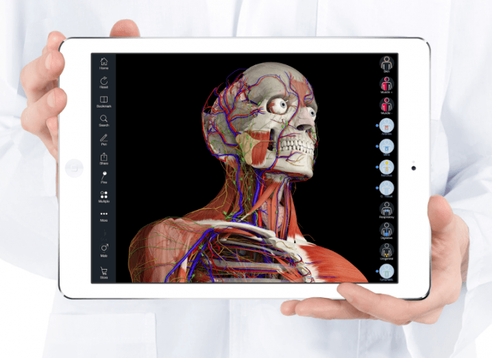 3D4MEDICAL_anatomy