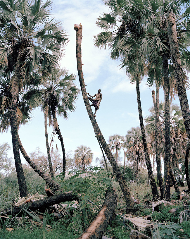 A Palm wine collector, in Namibia – image via Kyle Weeks, fine art single image winner at Magnum and LensCulture Photography Awards 2016