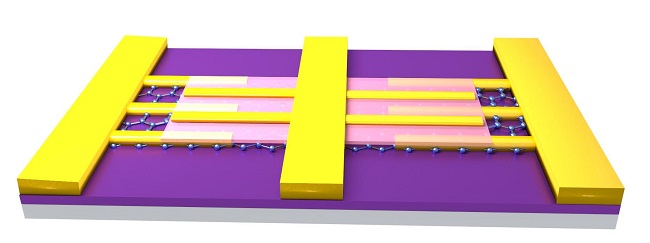 Graphene device