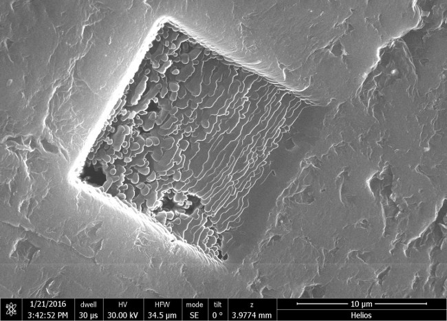 A focused ion beam microscope image shows 3D graphene layers welded together in a block. The material is biocompatible and its material properties meet the standards necessary for consideration as a bone implant, according to researchers at Rice University. Image via Ajayan Group/Rice University
