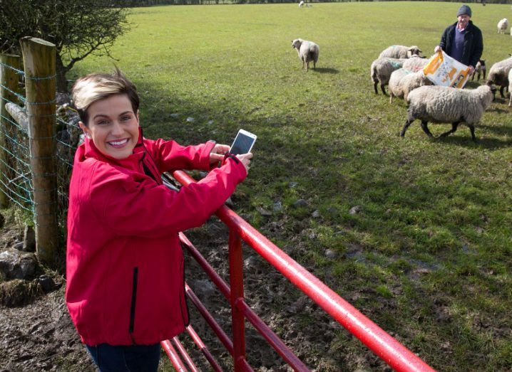 Vodafone reveals data harvest doubled at Ploughing Championship