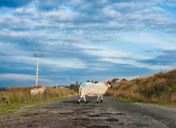 Revealed: The deplorable state of broadband in Ireland