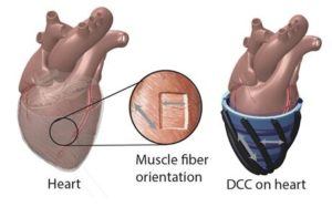 Science Translational Medicine