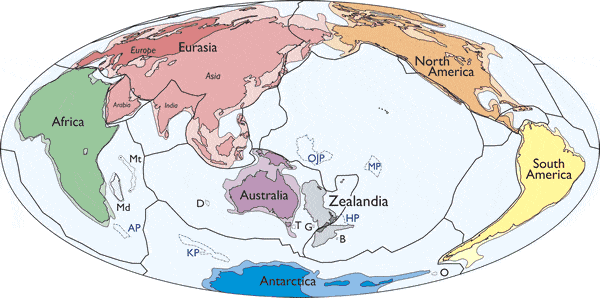 Simplified map of Earth’s tectonic plates and continents, including Zealandia. Image: GSA