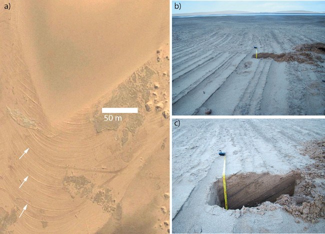 (a) Crossbeds upwind of the windward slope in Namibia. White arrows highlight particularly prominent examples. (b) Crossbeds showing general relief of interdune (<10cm). (c) Wall of pit excavated in (b) shows dipping sediment layers in subsurface are contiguous with protruding layers on the surface. 