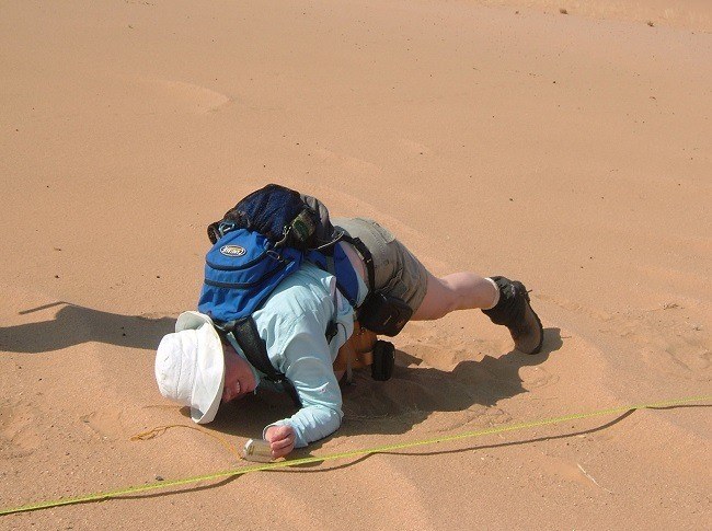 Prof Bourke examining ripples in the Namib Desert. Image via H. Viles