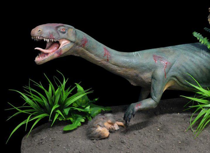 Life model of the new species Teleocrater rhadinus, a close relative of dinosaurs, preying upon a juvenile cynodont, a distant relative of mammals. Image: Museo Argentino de Ciencias Naturales