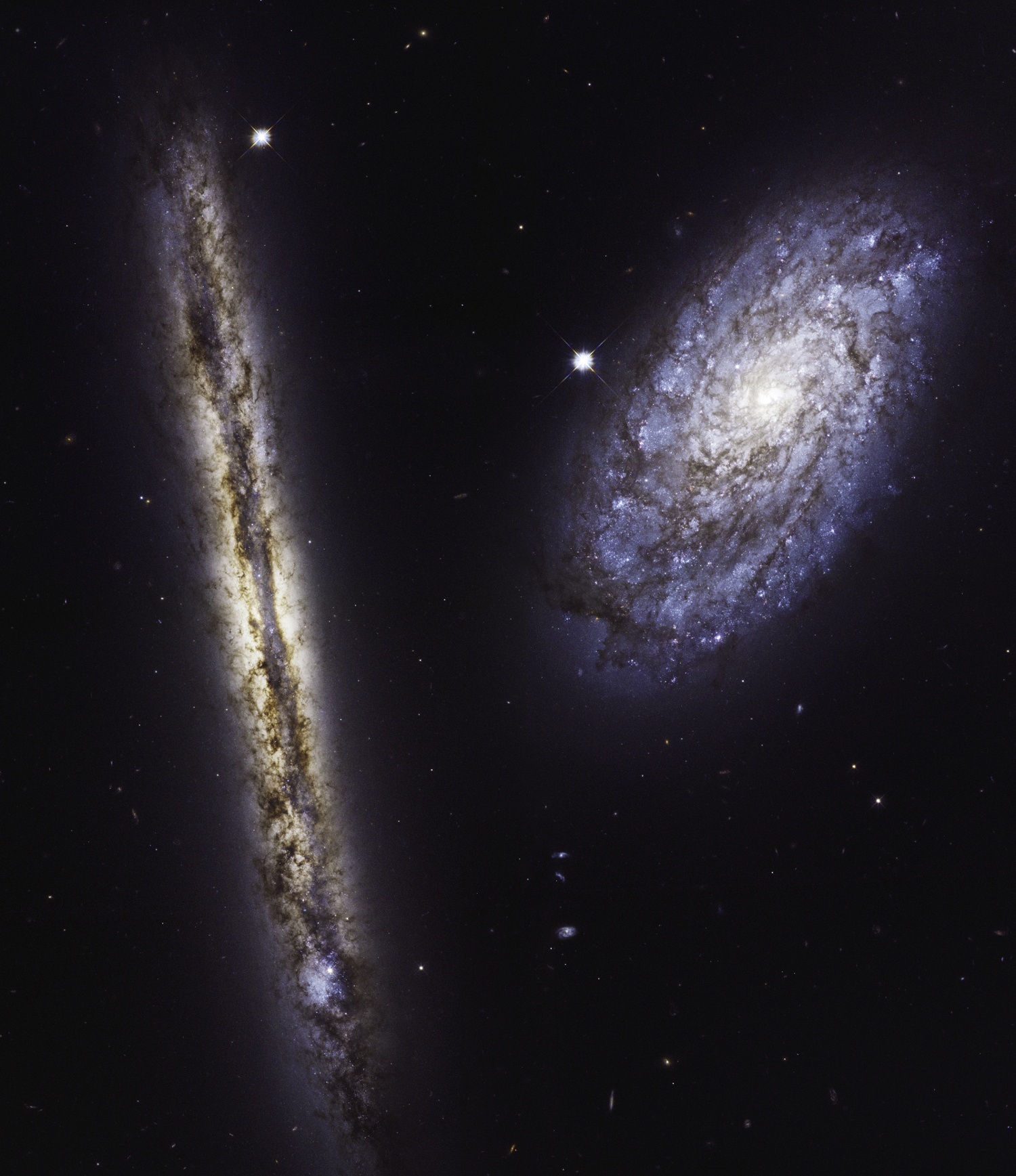 Hubble images of spiral galaxies NGC 4302 (left) and NGC 4298 (right) in visible and infrared light. Image: NASA, ESA, and M. Mutchler (STScI)