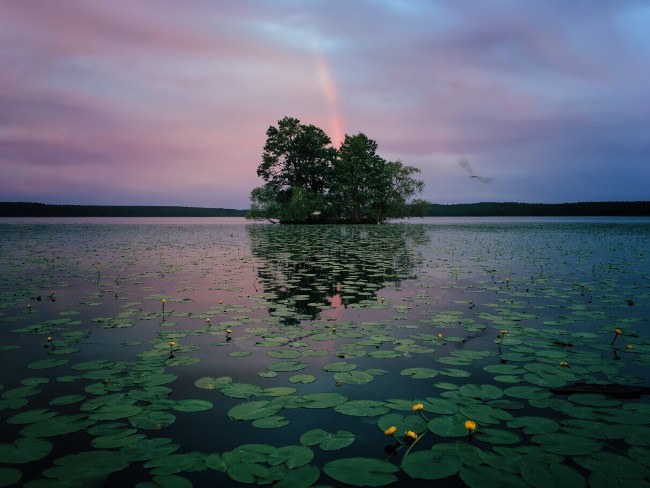 Aaron Sandberg, US. 1st place, nature category, IPPA.