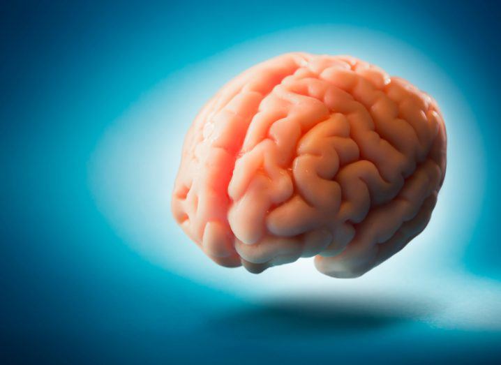 Feel the brain. Image: Fer Gregory/Shutterstock