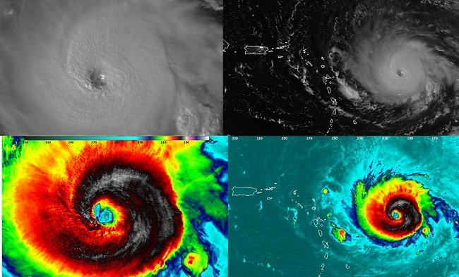 Collage of Hurricane Irma