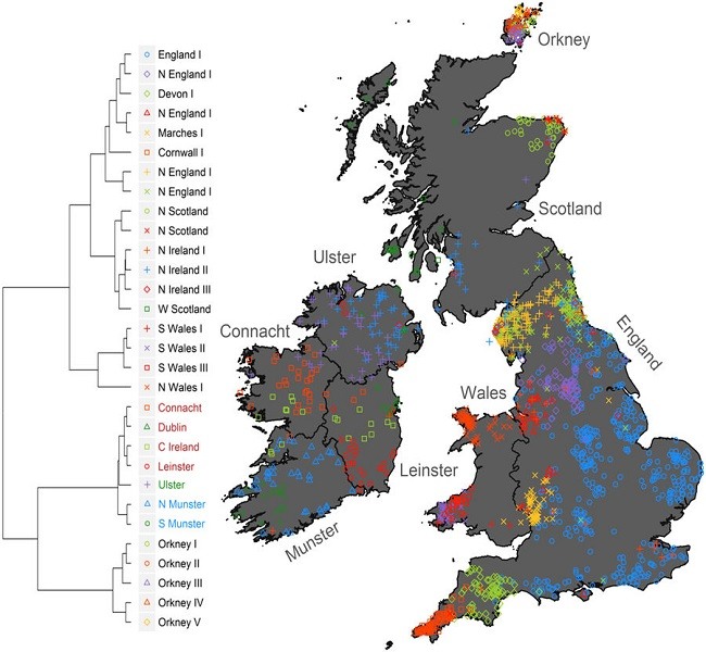 Irish DNA map