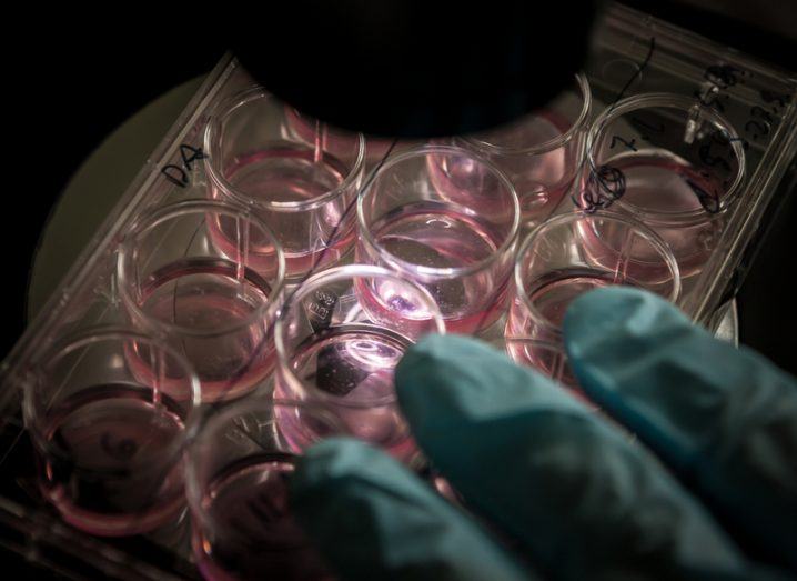 Ireland to get its own dedicated 3D bioprinting lab for advanced research