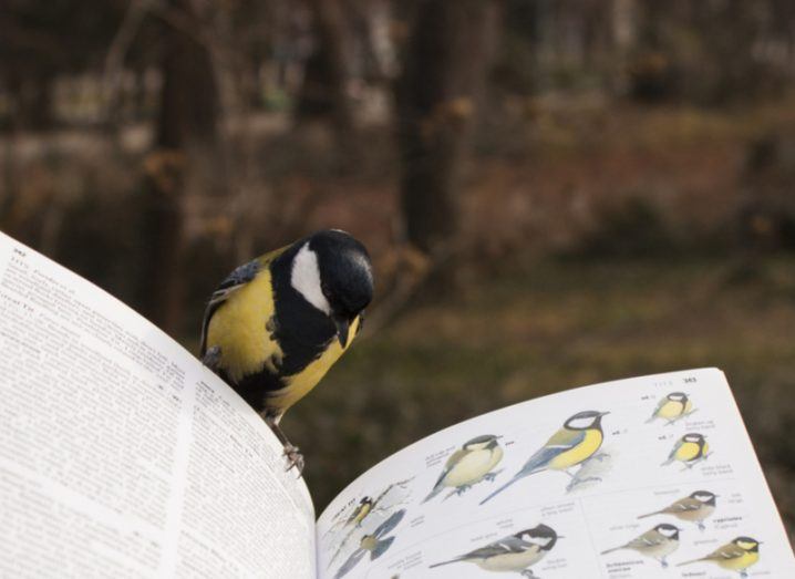 Twitter goes live with new Bookmarks and sharing capabilities