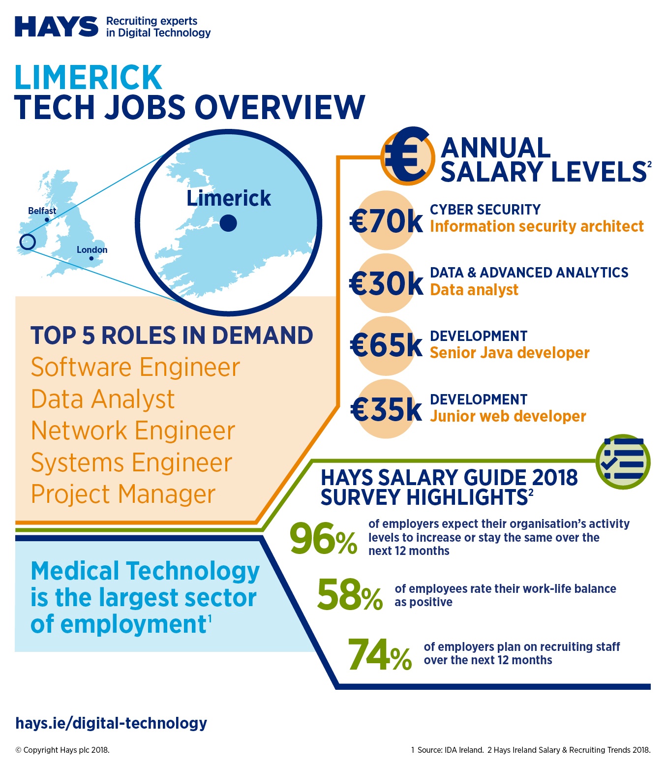 Infographic identifying the hottest roles, average salaries and top sci-tech industry in Limerick