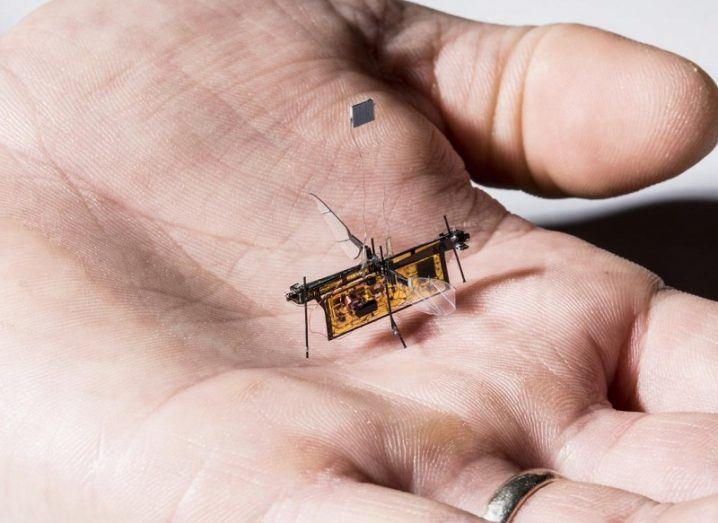 Robot insect in palm of person's hand