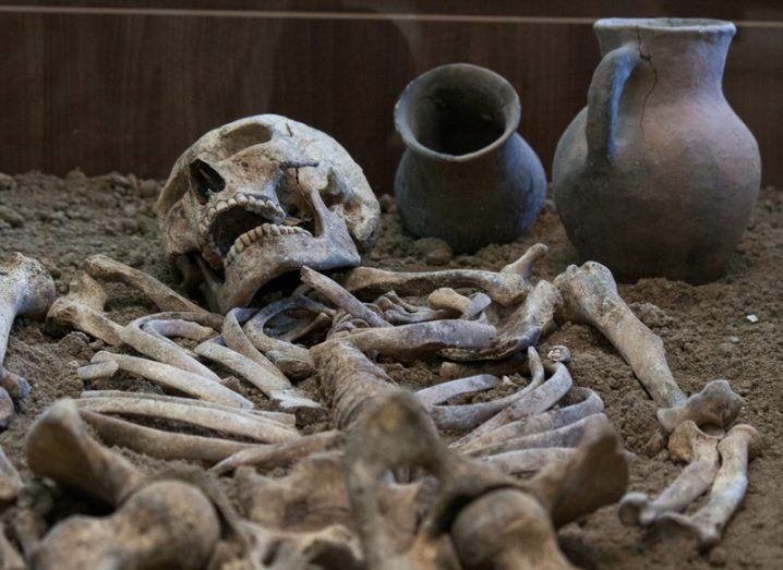 Set of bones and pots during an archaeological dig