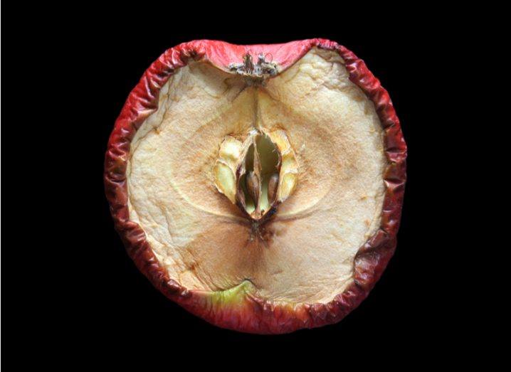 rotten red apple against black background, representing the dark core of personality.