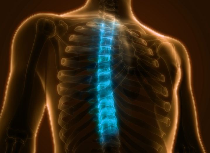X-ray-like image of a person's chest with their spinal cord lit up with a blue colour.