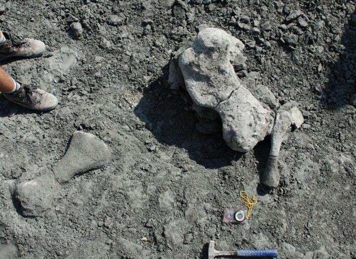 bones on a grey stony surface with a rock hammer nearby, reflecting palaeontology.