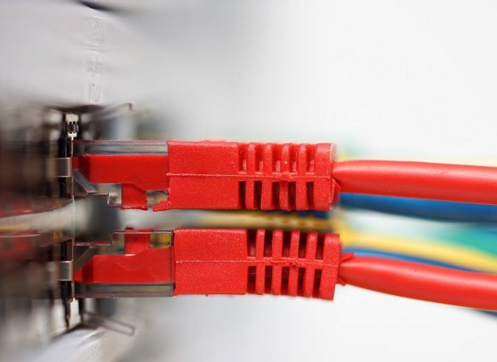 Close-up of red broadband cables hooked up to a network.