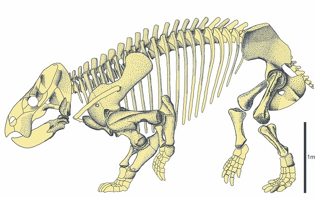 Skeleton of Lisowicia bojani, similar to an elephant in size.