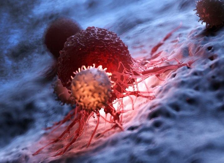 3d rendered image of white blood cells attacking a cancer cell.