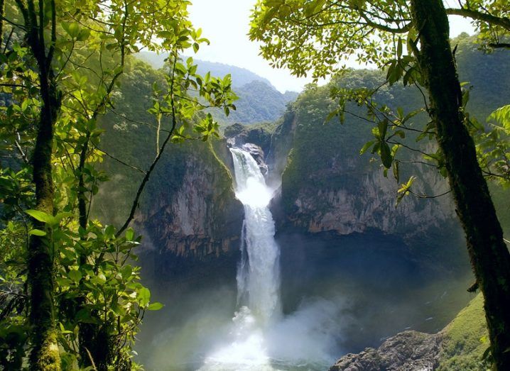 Distant shot from a grouping of trees of the San Rafael Falls, the largest waterfall in Ecuador.