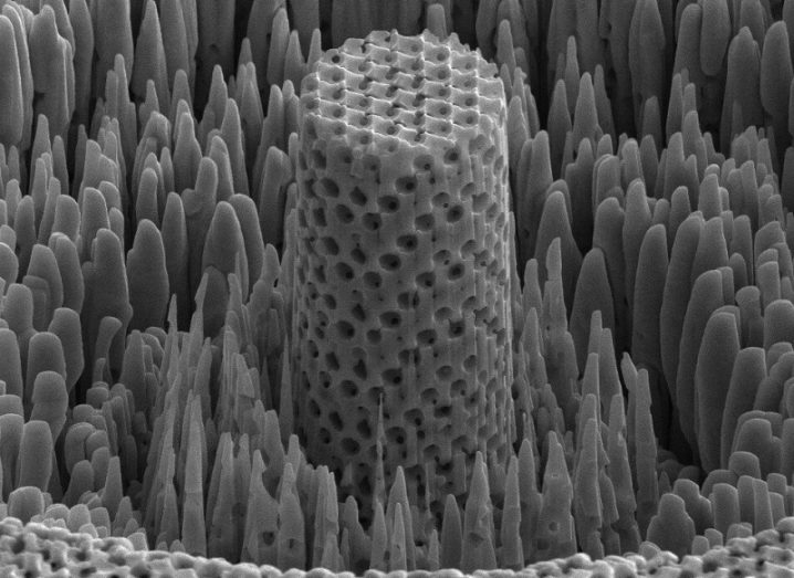 Microscopic close-up of the metallic wood with small spikes surrounding a larger tube shape.