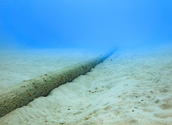 A long undersea internet cable lies on the sandy seabed, disappearing out of view into blue, watery depths.