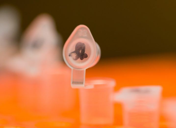Close-up of a plastic tube for genetic samples in an orange tray with a blurred background.