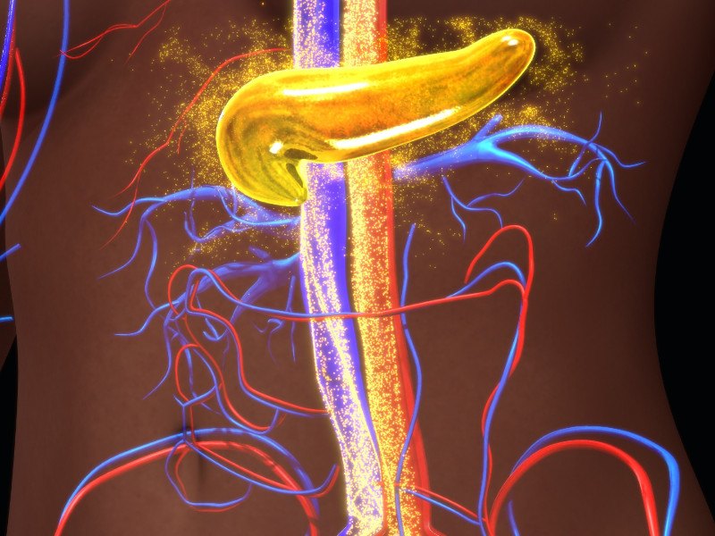 Image showing inside of stomach with diabetes.