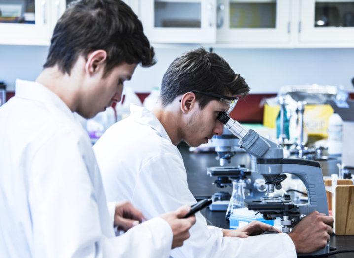 Two male researchers in white coats hunched over lab equipment examining samples.