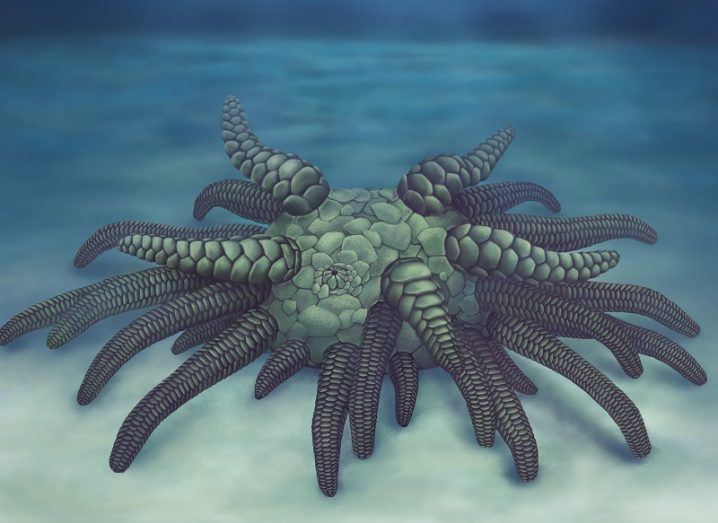 Illustration of the creature dubbed cthulhu with dozens of tentacles crawling along the ocean floor.
