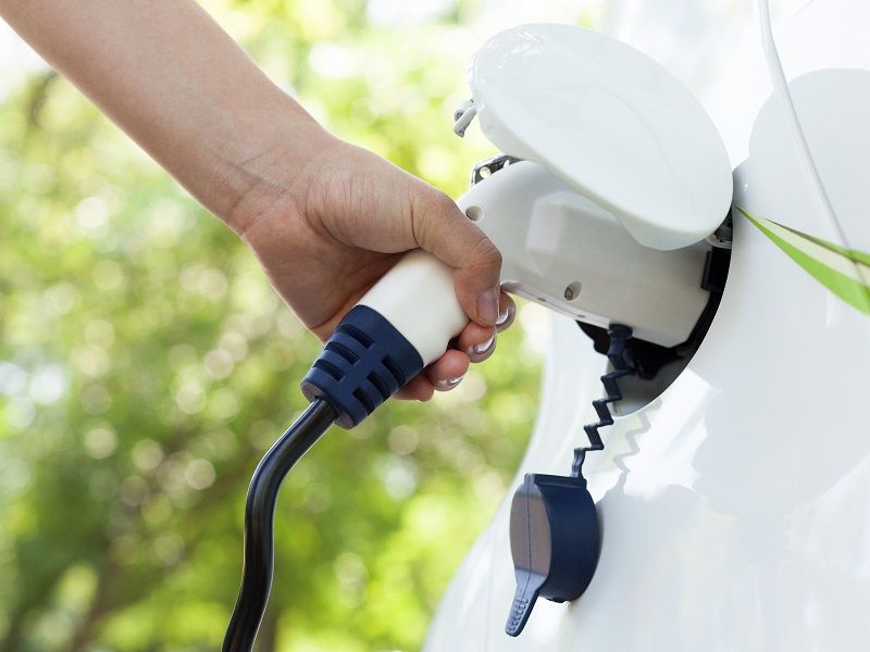 Arm connecting an EV charger cable to a car against a forest background.