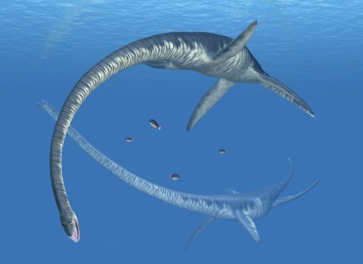 Illustration of two long-necked Plesiosaurier Elasmosaurus in an ocean.