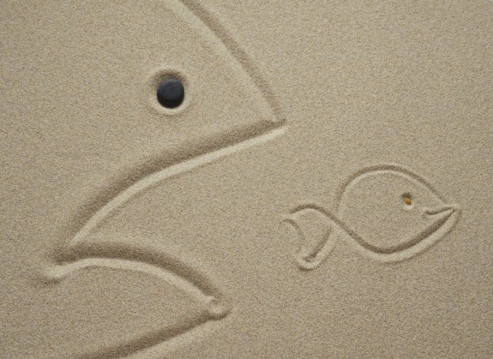 sand outline of big fish with mouth open chasing small fish, symbolising big tech companies acquiring smaller ones.